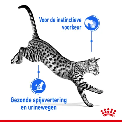 Voor de instinctieve voorkeur. Gezonde spijsvertering en urinewegen. Afbeelding van een springende kat met Royal Canin kroon symbool.