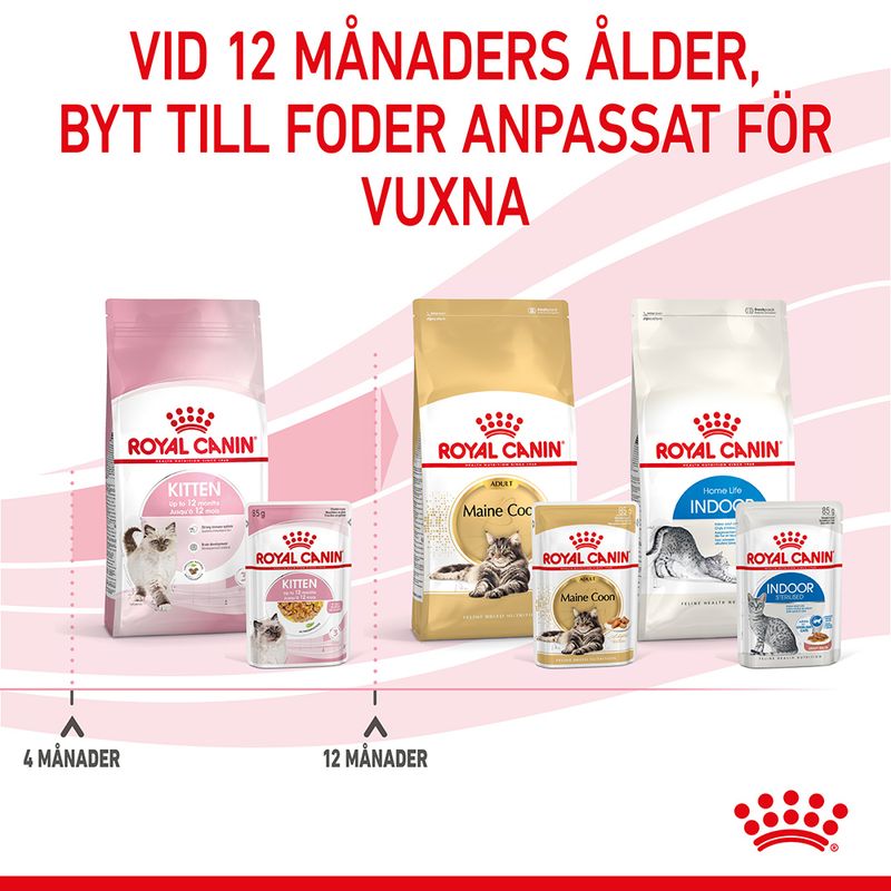 Royal Canin Kitten i gelé