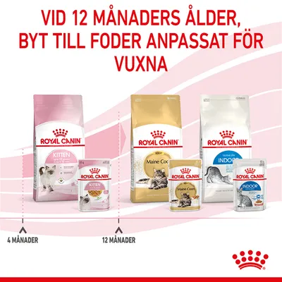 Royal Canin Kitten i gelé