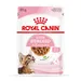 Royal Canin Sterilized Kitten v omáčce