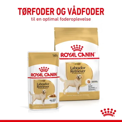 Royal Canin Adult Labrador Retriever tørfoder og vådfoder. Tekst: TØRFODER OG VÅDFODER til en optimal foderoplevelse. 140 g pose og stor sæk med hundebillede.