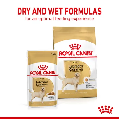 Dry and wet formulas for an optimal feeding experience. Royal Canin Adult Labrador Retriever food shown in both pouch and bag packaging.