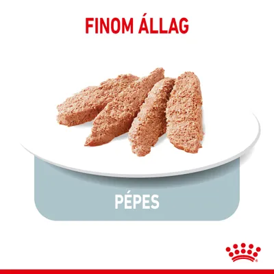 Finom állag, pépes. Négy szelet pépes állagú eledel fehér tányéron, Royal Canin logóval.