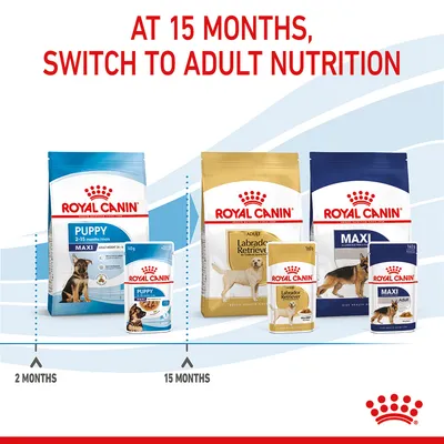Instructional image showing to switch from Royal Canin puppy food at 2-15 months to adult nutrition at 15 months, with product packs for each stage and timeline indicated.