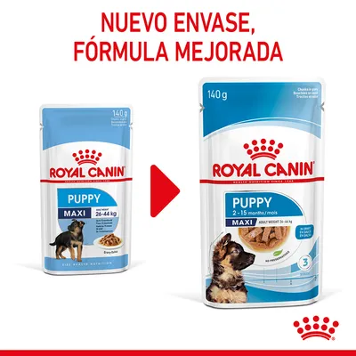 Comparación de envases Royal Canin Puppy Maxi 140 g. Texto: 'Nuevo envase, fórmula mejorada'. Nuevo diseño muestra cachorro, indica 2–15 meses y peso adulto 26–44 kg.