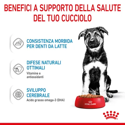 Benefici a supporto della salute del cucciolo: consistenza morbida per denti da latte, difese naturali ottimali con vitamine e antiossidanti, sviluppo cerebrale con DHA. Royal Canin.