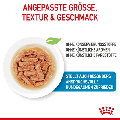 Texte en allemand : taille, texture et goût adaptés. Sans conservateurs, arômes ni colorants artificiels. Convient aussi aux chiens exigeants. Croquettes dans une assiette blanche.