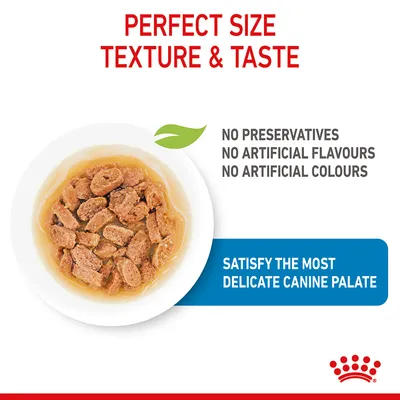 Pet food in gravy with text: perfect size, texture and taste. No preservatives, no artificial flavours or colours. Satisfy the most delicate canine palate.