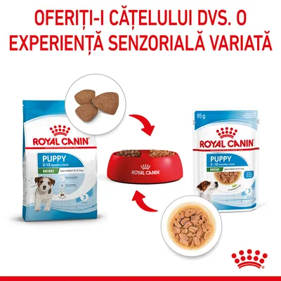 ROYAL CANIN PUPPY MINI 2–10 months, pachet hrană uscată și umedă pentru căței de talie mică, imagine cu bol și text: OFERIȚI-I CĂȚELULUI DVS. O EXPERIENȚĂ SENZORIALĂ VARIATĂ