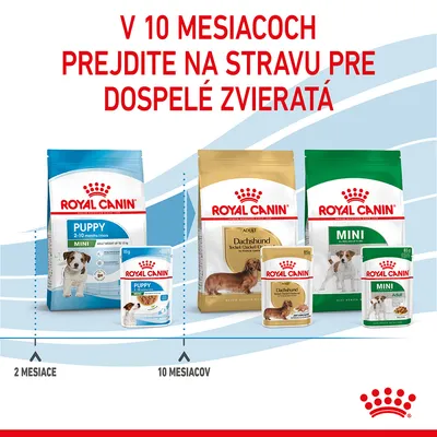 V 10 mesiacoch prejdite na stravu pre dospelé zvieratá. Royal Canin Puppy od 2 do 10 mesiacov, potom Royal Canin Adult Dachshund a Mini. Zobrazené balenia suchého a mokrého krmiva.