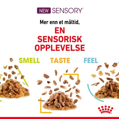 Royal Canin Sensory Feel i saus