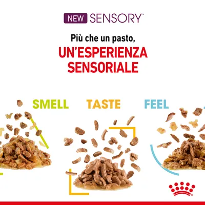 Testo: NEW SENSORY. Più che un pasto, UN'ESPERIENZA SENSORIALE. Smell, Taste, Feel sopra tre porzioni di cibo umido per animali con diversi aspetti e consistenze.