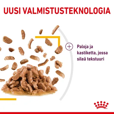 UUSI VALMISTUSTEKNOLGIA. Paloja ja kastiketta, jossa sileä tekstuuri