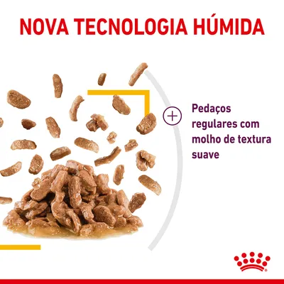 Nova tecnologia húmida. Pedaços regulares com molho de textura suave. Imagem de pedaços de comida húmida para animais em molho. Marca Royal Canin visível.