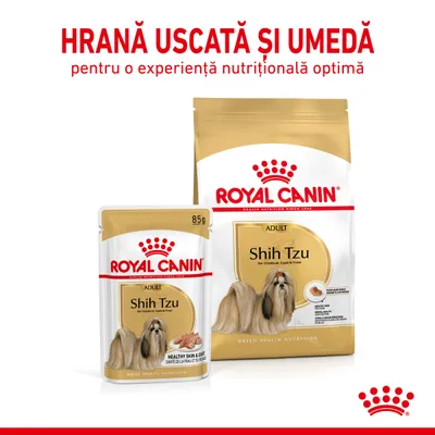 Hrană uscată și umedă Royal Canin Shih Tzu Adult, pachet 85g și sac mare, pentru câini adulți rasa Shih Tzu. Text vizibil: „pentru o experiență nutrițională optimă”.