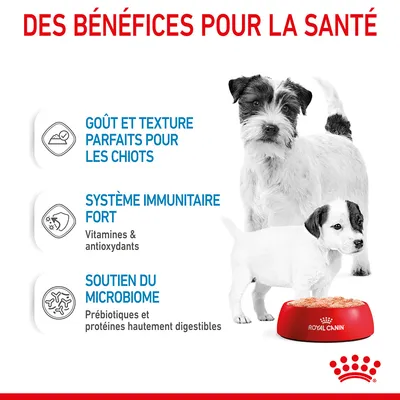 Des bénéfices pour la santé : goût et texture parfaits pour les chiots, système immunitaire fort avec vitamines et antioxydants, soutien du microbiome avec prébiotiques et protéines hautement digestibles.