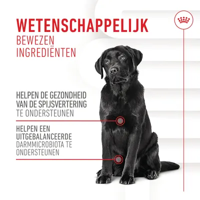 Wetenschappelijk bewezen ingrediënten. Helpen de gezondheid van de spijsvertering te ondersteunen. Helpen een uitgebalanceerde darmmicrobiota te ondersteunen.