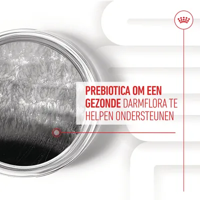 Prebiotica om een gezonde darmflora te helpen ondersteunen