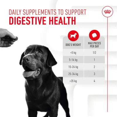Daily supplements to support digestive health. Feeding guide: under 5kg, 0.5 piece; 5-14kg, 1 piece; 15-24kg, 2 pieces; 25-34kg, 3 pieces; over 35kg, 4 pieces per day.
