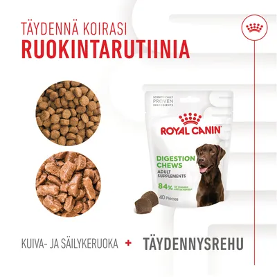 Royal Canin Digestion Chews -täydennysrehu aikuisille koirille, pakkauksessa 40 palaa. Kuvassa myös kuivaruokaa ja säilykeruokaa. Teksti: Täydennä koirasi ruokintarutiinia.