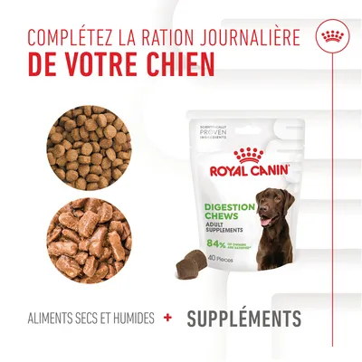 Complétez la ration journalière de votre chien. Royal Canin Digestion Chews Adult Supplements, 84 % of owners are satisfied, 40 pièces. Aliments secs et humides + suppléments.