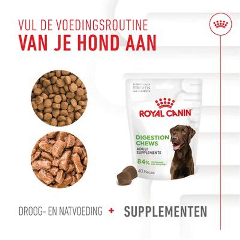 Royal Canin Digestion Adult Supplement Kauwsnacks