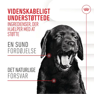 Videnskabeligt understøttede ingredienser, der hjælper med at støtte en sund fordøjelse og det naturlige forsvar. Sort hundehvalp med åben mund.