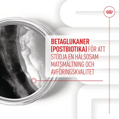 BETAGLUKANER (POSTBIOTIKA) för att stödja en hälsosam matsmältning och avföringskvalitet