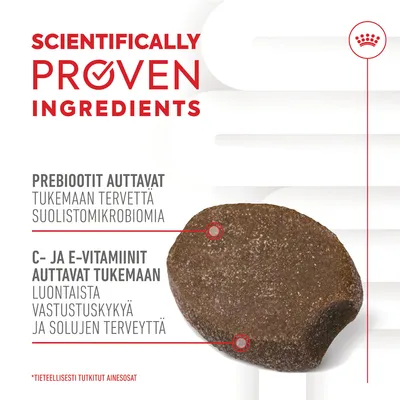Teksti: Scientifically proven ingredients. Prebiootit auttavat tukemaan tervettä suolistomikrobiomia. C- ja E-vitamiinit auttavat tukemaan luontaista vastustuskykyä ja solujen terveyttä.