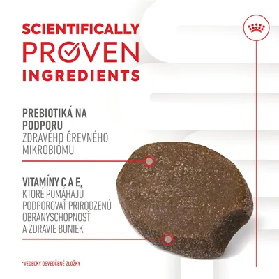 SCIENTIFICALLY PROVEN INGREDIENTS. Prebiotiká na podporu zdravého črevného mikrobiómu. Vitamíny C a E, ktoré pomáhajú podporovať prirodzenú obranyschopnosť a zdravie buniek.