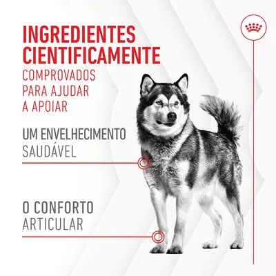 Ingredientes cientificamente comprovados para ajudar a apoiar um envelhecimento saudável e o conforto articular. Texto promocional com imagem de cão.