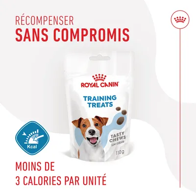 Royal Canin Training Treats Tasty Chews 110g, moins de 3 calories par unité, texte : Récompenser sans compromis, emballage avec un chien et mention low calorie.