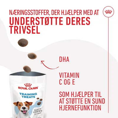 Royal Canin Training Treats Tasty Chews. Næringsstoffer, der hjælper med at understøtte deres trivsel. DHA, vitamin C og E støtter sund hjernefunktion. Lavt kalorieindhold.