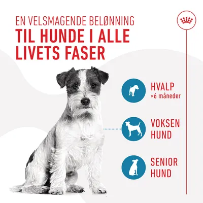 En velsmagende belønning til hunde i alle livets faser. Hvalp >6 måneder, voksen hund, senior hund. Sort-hvid hund sidder foran tekst og ikoner.