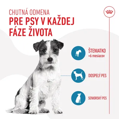 Chutná odmena pre psy v každej fáze života. Šteniatko >6 mesiacov, dospelý pes, seniorský pes. Text a siluety psov na bielom pozadí s fotografiou psa.