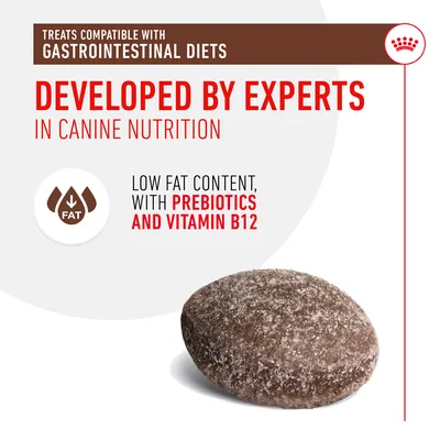 Treat compatible with gastrointestinal diets, developed by experts in canine nutrition. Low fat content, contains prebiotics and vitamin B12.