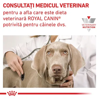 Consultați medicul veterinar pentru a afla care este dieta veterinară ROYAL CANIN potrivită pentru câinele dvs. Siglă Veterinary Nutrition.