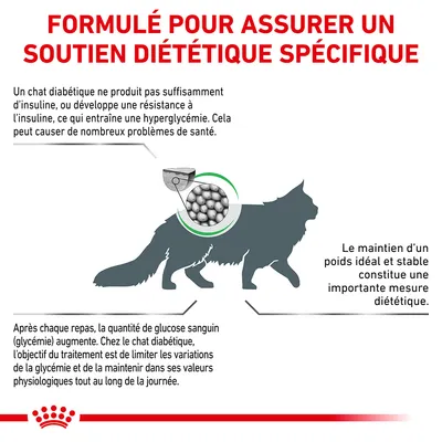 Formulé pour assurer un soutien diététique spécifique. Explications sur le diabète chez le chat, importance du poids stable et gestion de la glycémie. Illustration croquettes et silhouette de chat.