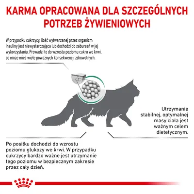 Karma opracowana dla szczególnych potrzeb żywieniowych. Informacje o cukrzycy, poziomie glukozy i znaczeniu utrzymania optymalnej masy ciała u kota. Grafika z sylwetką kota i karmą.