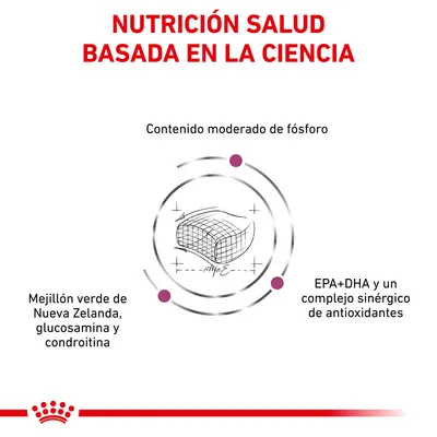 NUTRICIÓN SALUD BASADA EN LA CIENCIA. Contenido moderado de fósforo. Mejillón verde de Nueva Zelanda, glucosamina y condroitina. EPA+DHA y un complejo sinérgico de antioxidantes.