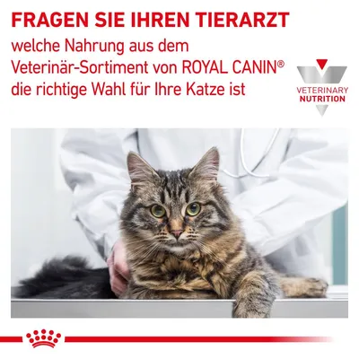 Текст на немецком: FRAGEN SIE IHREN TIERARZT welche Nahrung aus dem Veterinär-Sortiment von ROYAL CANIN die richtige Wahl für Ihre Katze ist. VETERINARY NUTRITION. Изображение кошки и ветеринара. Текст на немецком: FRAGEN SIE IHREN TIERARZT welche Nahrung aus dem Veterinär-Sortiment von ROYAL CANIN die richtige Wahl für Ihre Katze ist. VETERINARY NUTRITION. Изображение кошки и ветеринара.