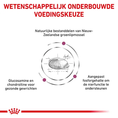 Wetenschappelijk onderbouwde voedingskeuze: natuurlijke bestanddelen van Nieuw-Zeelandse groenlipmossel, glucosamine en chondroïtine voor gewrichten, aangepast fosforgehalte voor nierfunctie.