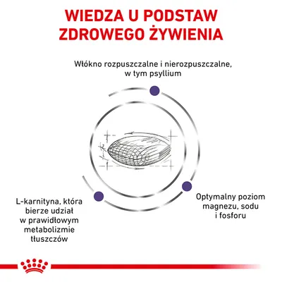 Wiedza u podstaw zdrowego żywienia: włókno rozpuszczalne i nierozpuszczalne (psyllium), L-karnityna wspierająca metabolizm tłuszczów, optymalny poziom magnezu, sodu i fosforu.