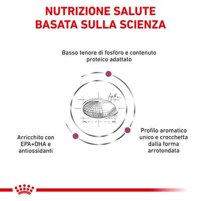 Nutrizione salute basata sulla scienza. Basso tenore di fosforo, contenuto proteico adattato, arricchito con EPA+DHA e antiossidanti, profilo aromatico unico, crocchetta arrotondata.