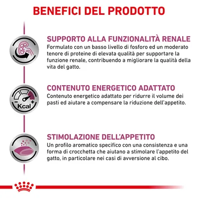Benefici del prodotto: supporto alla funzionalità renale, contenuto energetico adattato, stimolazione dell’appetito. Testo esplicativo per ciascun beneficio visibile nell’immagine.