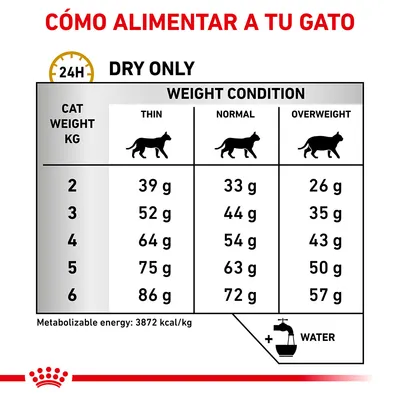 Tabla de raciones diarias de pienso seco para gatos según peso (2–6 kg) y condición corporal: delgado, normal o sobrepeso. Energía metabolizable: 3872 kcal/kg. Añadir agua.