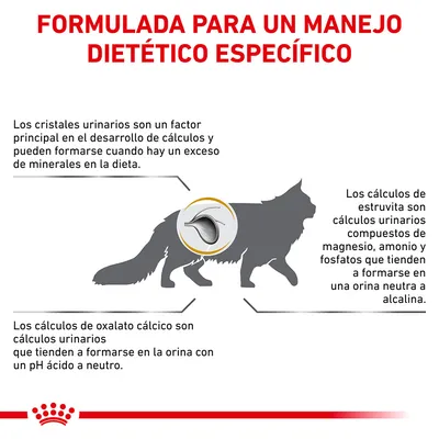 Formulada para un manejo dietético específico. Explicación sobre cristales urinarios y cálculos de estruvita y oxalato cálcico en gatos, con texto informativo y silueta de gato.
