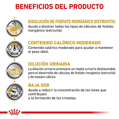 Beneficios del producto: disolución de fosfato inorgánico (estruvita), contenido calórico moderado, dilución urinaria y baja SSR. Texto explicativo bajo cada beneficio.