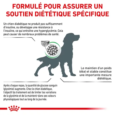Formulé pour assurer un soutien diététique spécifique. Explications sur le diabète chez le chien, importance du maintien du poids et gestion de la glycémie. Illustration croquettes et silhouette chien.