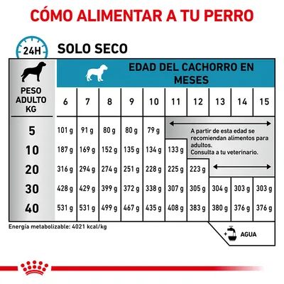 Tabla de alimentación para perros según peso adulto (5–40 kg) y edad del cachorro (6–15 meses), solo seco. Incluye cantidades diarias en gramos y recomendación de cambiar a alimento adulto.